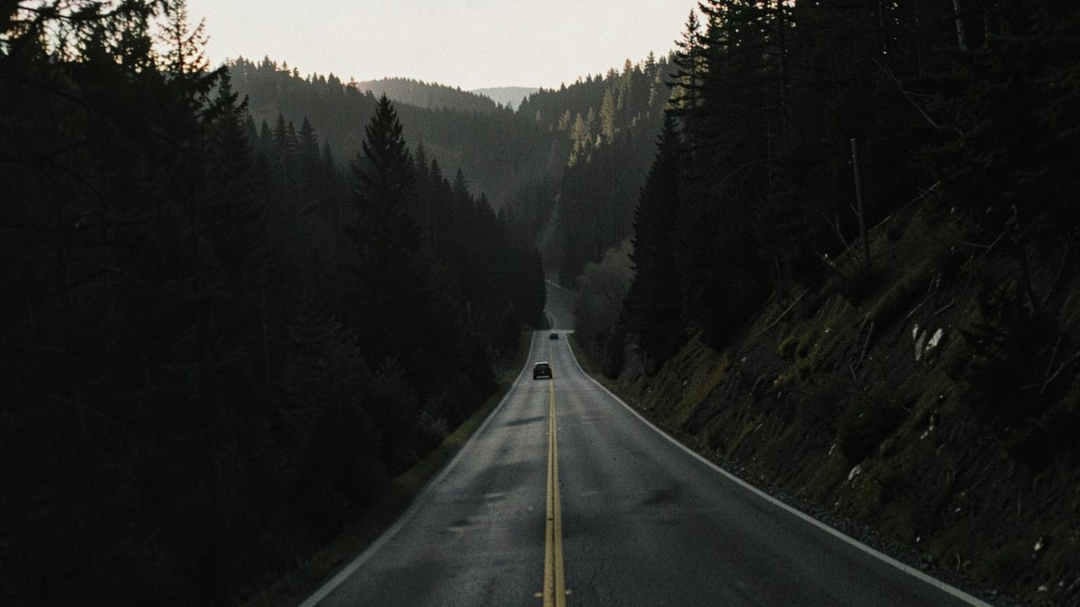 The road narrows — Route 1, inland